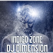 Indigo Zone artwork