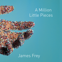 James Frey - A Million Little Pieces artwork