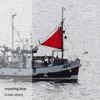 Crossing Blue - Wabeland