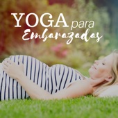 Yoga para Embarazadas - Playlist de Canciones para Mujer en Embarazo artwork