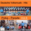 Deutsche Volksmusik-Hits: Polka-Parade, Vol. 6