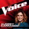 Price Tag - Audrey Karrasch lyrics