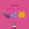 Pull Out - The Illu$trata lyrics