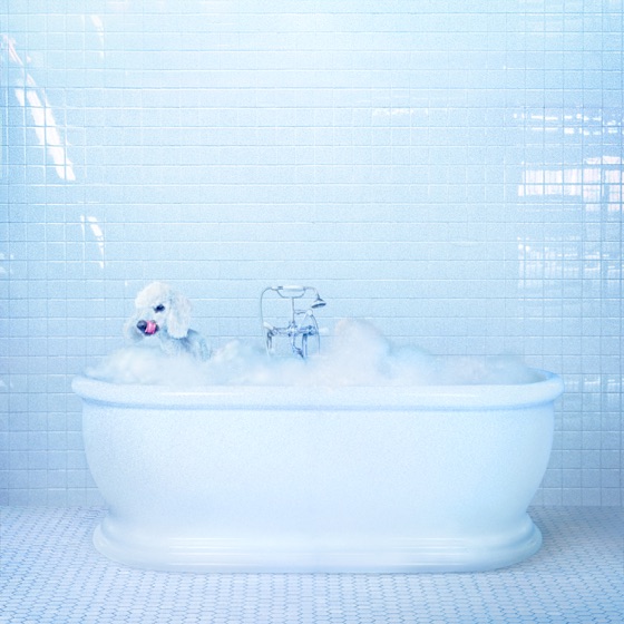 Cover artwork for Same Thing
