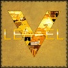 Level 5