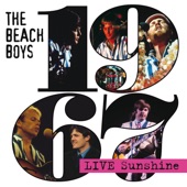 The Beach Boys - Barbara Ann