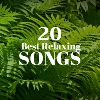 Sweet Dreams - 20 Best Relaxing Songs - Sweet Zen Japanese Songs for Reducing Stress & Anxiety artwork