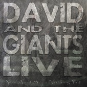 David & the Giants Live - You Ain't Seen Nothing Yet artwork