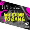 We Came To Bang (feat. Luciana) - Single album lyrics, reviews, download
