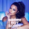 Sorry Not Sorry (Freedo Remix) - Single
