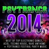 Psytrance 2014 (Top 30 Best of Electronic Dance, Acid, Techno, House, Rave Anthems, Festivals)