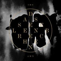 DAS SEELENBRECHEN cover art