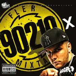 90210 Mixtape X - Fler