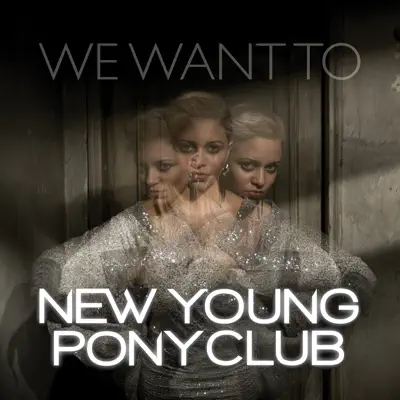 We Want To - EP - New Young Pony Club