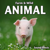 Farm & Wild Animal Sound Effects - Sound Ideas