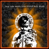 My Life With the Thrill Kill Kult artwork