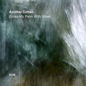 Avishai Cohen - Theme For Jimmy Greene