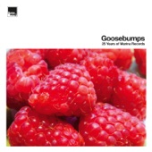 Goosebumps – 25 Years of Marina Records artwork