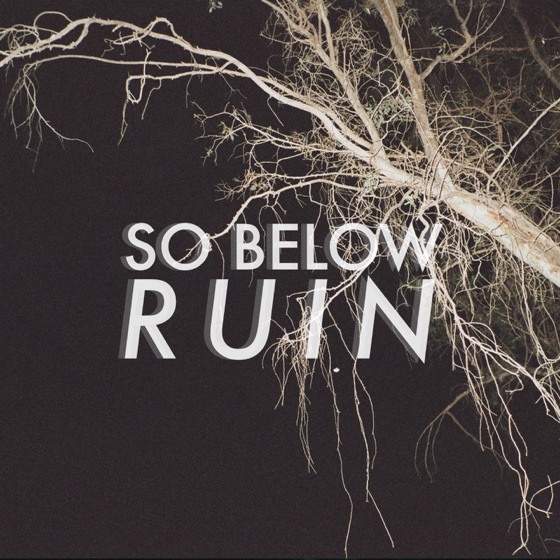 Cover artwork for Ruin
