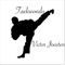 Taekwondo artwork