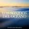 Biofeedback Terapia Canción - Focus Academy lyrics