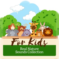 For Kids: Real Nature Sounds Collection to Help Children Learn Mindfulness, Meditation & Yoga