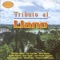 Adiós a Mi Llano - Arnulfo Briceño lyrics