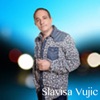 Slavisa Vujic - Single