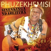 Sinenkinga Ndabezitha artwork