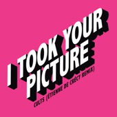 I Took Your Picture (Étienne de Crécy Remix) artwork