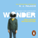 R J Palacio - Wonder