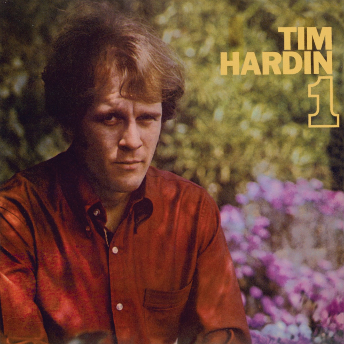 Tim Hardin - Tim Hardin 1 (1966) [iTunes Plus AAC M4A]-新房子