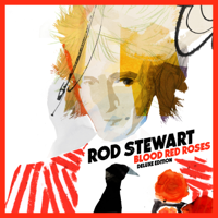 Rod Stewart - Grace artwork