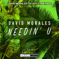 David Morales & The Face - Needin' U (Club Mix) artwork