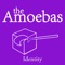 Identity - The Amoebas lyrics