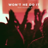 Won't He Do It artwork