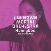 Hunnybee (Baltra Remix) artwork
