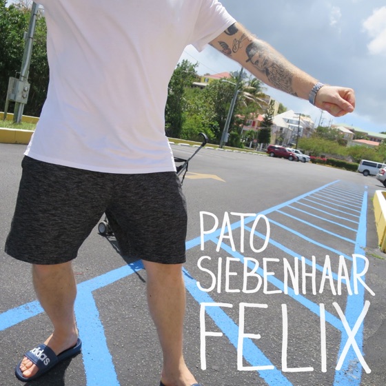 Cover artwork for Fatter Brik