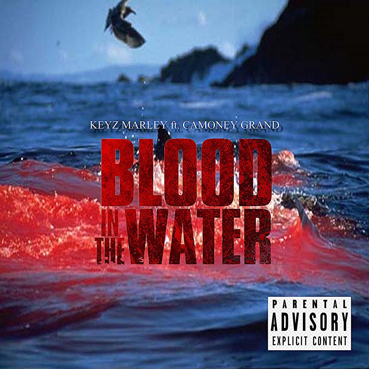 Blood in the water