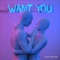 Want You - Sam Smyers lyrics