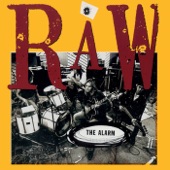 Raw (1990 -1991 Remastered) artwork