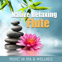 Native Relaxing Flute: Music in Spa & Wellness, Meditation Yoga Room, Background for Evening Mindfulness by Relaxing Flute Music Zone album reviews, ratings, credits