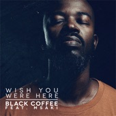 Wish You Were Here (feat. Msaki) artwork