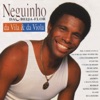 Neguinho Da Beija-Flor, Da Vila E Da Viola, 1994