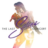 The Last Concert (Live From Astrodome) artwork