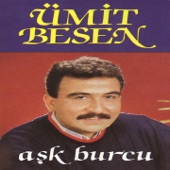 Aşk Burcu artwork