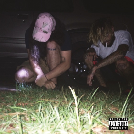 Cover artwork for Fuckthepopulation