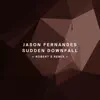 Sudden Downfall (Robert S Remix) song lyrics