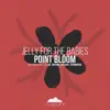 Stream & download Point Bloom