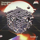 Youngblood Brass Band - Beats For Days Megamix